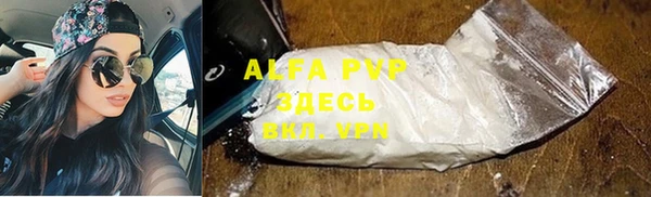 ECSTASY Абаза