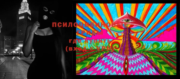индика Абдулино