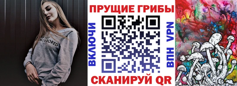 гидра маркетплейс  где найти наркотики  Арсеньев  Псилоцибиновые грибы мицелий 